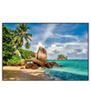Xxl Wandbild Schoener Strand Mit Palmen Querformat Produktvorschau Frontal