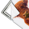 Xxl Wandbild Schottisches Hochlandrind Hochformat Materialvorschau
