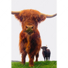 Xxl Wandbild Schottisches Hochlandrind Hochformat Motivvorschau