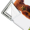 Xxl Wandbild Schottisches Hochlandrind Quadrat Materialvorschau