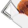 Xxl Wandbild Schottisches Hochlandrind Querformat Materialvorschau