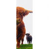 Xxl Wandbild Schottisches Hochlandrind Schmal Motivvorschau