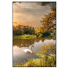 Xxl Wandbild Schwan Im Teich Hochformat Produktvorschau Frontal