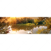 Xxl Wandbild Schwan Im Teich Panorama Motivvorschau