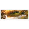 Xxl Wandbild Schwan Im Teich Panorama Produktvorschau Frontal