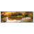 Xxl Wandbild Schwan Im Teich Panorama Produktvorschau Frontal