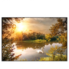 Xxl Wandbild Schwan Im Teich Querformat Produktvorschau Frontal