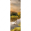 Xxl Wandbild Schwan Im Teich Schmal Motivvorschau