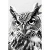 Xxl Wandbild Schwarz Weiss Eulenportrait Hochformat Motivvorschau