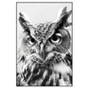 Xxl Wandbild Schwarz Weiss Eulenportrait Hochformat Produktvorschau Frontal