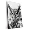 Xxl Wandbild Schwarz Weiss Eulenportrait Hochformat Produktvorschau Seitlich