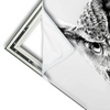 Xxl Wandbild Schwarz Weiss Eulenportrait Querformat Materialvorschau