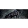Xxl Wandbild Schwarzer Hengst Panorama Motivvorschau