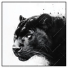 Xxl Wandbild Schwarzer Panther Quadrat Produktvorschau Frontal