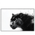 Xxl Wandbild Schwarzer Panther Querformat Produktvorschau Frontal
