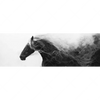 Xxl Wandbild Schwarzes Pferd Voller Energie Panorama Motivvorschau
