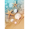 Xxl Wandbild Seesterne Muscheln Hochformat Motivvorschau