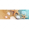 Xxl Wandbild Seesterne Muscheln Panorama Motivvorschau