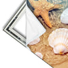Xxl Wandbild Seesterne Muscheln Quadrat Materialvorschau
