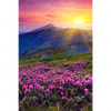 Xxl Wandbild Sommerberg Im Sonnenuntergang Hochformat Motivvorschau