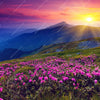 Xxl Wandbild Sommerberg Im Sonnenuntergang Quadrat Motivvorschau