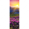 Xxl Wandbild Sommerberg Im Sonnenuntergang Schmal Motivvorschau