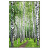 Xxl Wandbild Sommerbirken Hochformat Produktvorschau Frontal