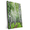 Xxl Wandbild Sommerbirken Hochformat Produktvorschau Seitlich