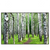 Xxl Wandbild Sommerbirken Querformat Produktvorschau Frontal