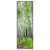 Xxl Wandbild Sommerbirken Schmal Produktvorschau Frontal