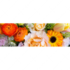 Xxl Wandbild Sommerblumen Panorama Motivvorschau