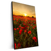 Xxl Wandbild Sommerlandschaft Mit Rotem Mohn Hochformat Produktvorschau Seitlich