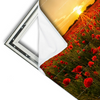 Xxl Wandbild Sommerlandschaft Mit Rotem Mohn Querformat Materialvorschau