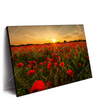 Xxl Wandbild Sommerlandschaft Mit Rotem Mohn Querformat Produktvorschau Seitlich