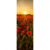 Xxl Wandbild Sommerlandschaft Mit Rotem Mohn Schmal Motivvorschau