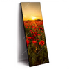 Xxl Wandbild Sommerlandschaft Mit Rotem Mohn Schmal Produktvorschau Seitlich