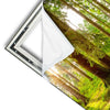 Xxl Wandbild Sonne Im Gruenen Wald Hochformat Materialvorschau