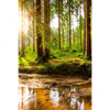 Xxl Wandbild Sonne Im Gruenen Wald Hochformat Motivvorschau
