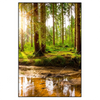 Xxl Wandbild Sonne Im Gruenen Wald Hochformat Produktvorschau Frontal