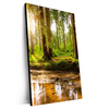 Xxl Wandbild Sonne Im Gruenen Wald Hochformat Produktvorschau Seitlich