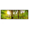 Xxl Wandbild Sonne Im Gruenen Wald Panorama Produktvorschau Frontal