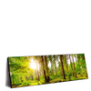 Xxl Wandbild Sonne Im Gruenen Wald Panorama Produktvorschau Seitlich