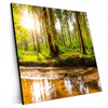 Xxl Wandbild Sonne Im Gruenen Wald Quadrat Produktvorschau Seitlich
