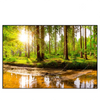 Xxl Wandbild Sonne Im Gruenen Wald Querformat Produktvorschau Frontal