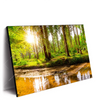 Xxl Wandbild Sonne Im Gruenen Wald Querformat Produktvorschau Seitlich