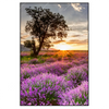 Xxl Wandbild Sonnenaufgang Im Lavendelfeld Hochformat Produktvorschau Frontal