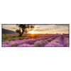 Xxl Wandbild Sonnenaufgang Im Lavendelfeld Panorama Produktvorschau Frontal