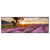 Xxl Wandbild Sonnenaufgang Im Lavendelfeld Panorama Produktvorschau Frontal