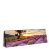 Xxl Wandbild Sonnenaufgang Im Lavendelfeld Panorama Produktvorschau Seitlich