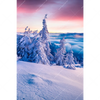 Xxl Wandbild Sonnenaufgang Im Schnee Hochformat Motivvorschau